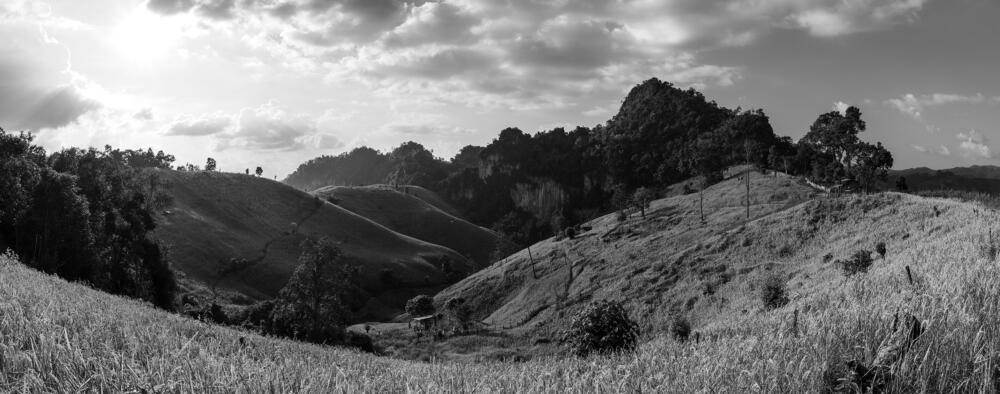 Rice Fields in Whisper - Mae Hong Son - Fine Art Print