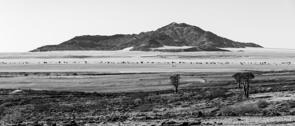 Serenity in Arid Heights - Fine Art Print