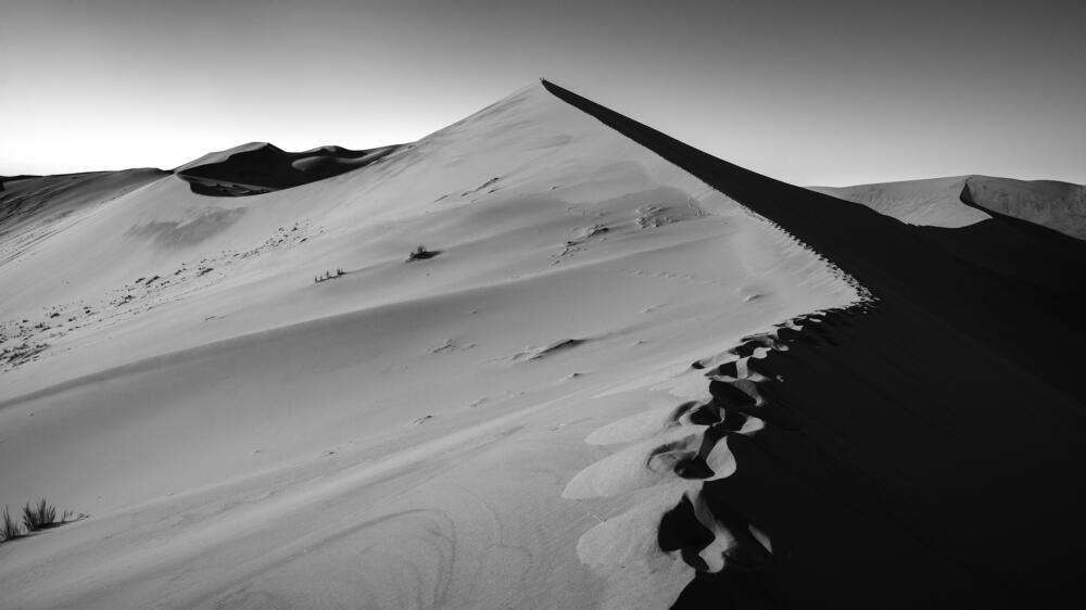 Ephemeral Pathways - Fine Art Print