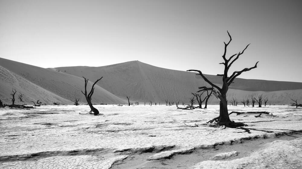Windswept Relics of Time - Fine Art Print